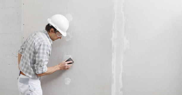 Best Real Estate Mold Inspection  in Parkville, MD
