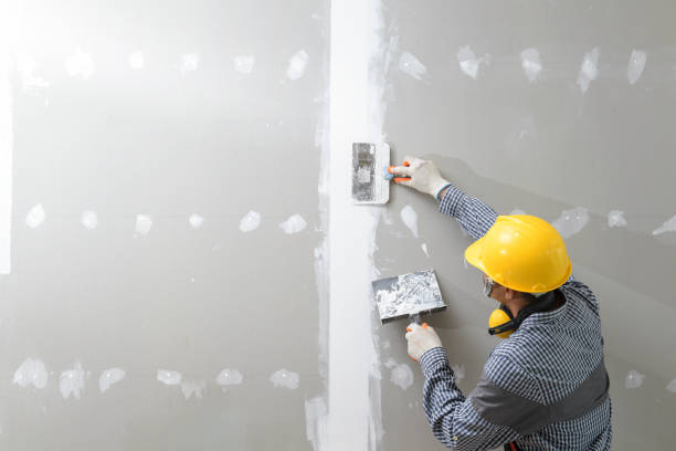 Mold Remediation for Vacation Homes in Parkville, MD
