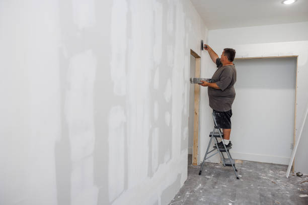 Best Mold Removal for HVAC Installations  in Parkville, MD