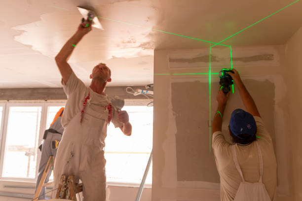 Best Black Mold Removal  in Parkville, MD
