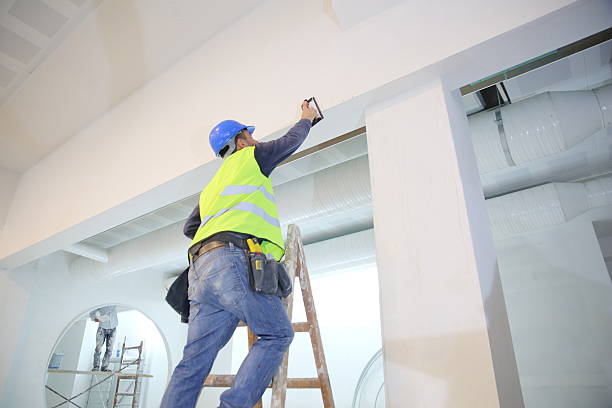 Reliable Parkville, MD Mold Removal Solutions